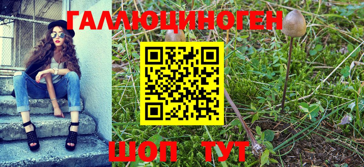 Галлюциногенные грибы мухоморы  Вход с VPN  Владикавказ  Псилоцибиновые грибы MAGIC MUSHROOMS 